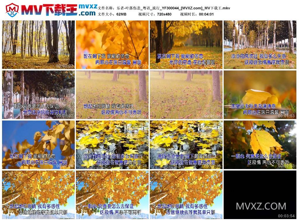 乐者-叶落伤悲_粤语_流行_YF300044